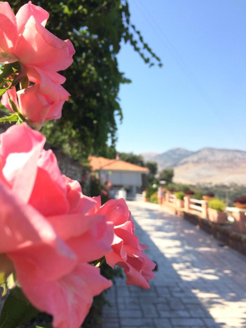 Saranda Landscape Apartment